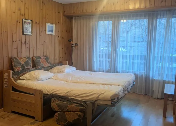 Centre Thermal 2 Ev110 Apartment *